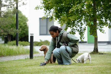 Similar image 21927372