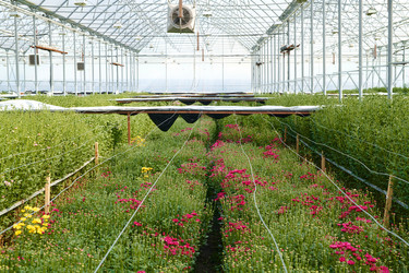 Similar image 21926350