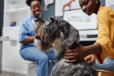 Similar image 21926148