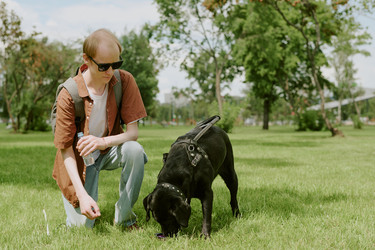 Similar image 21921967