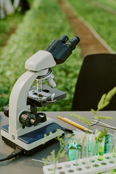 Similar image 21926608