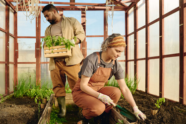 Similar image 21928693