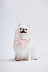 Similar image 21924498