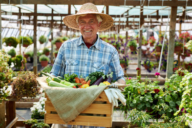 Similar image 21929542