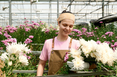 Similar image 21922964