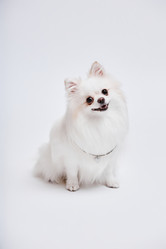 Similar image 21918965