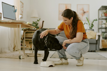 Similar image 21927435