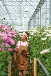 Similar image 21927351