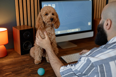 Similar image 21931843