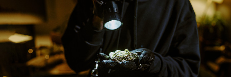 Similar image 21959919