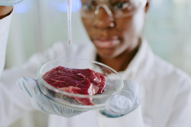 Similar image 21958057