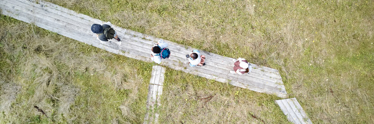 Similar image 21955814