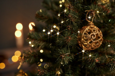 Similar image 21959825