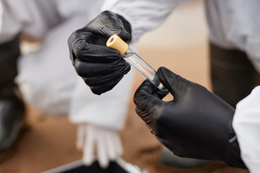 Similar image 21957251