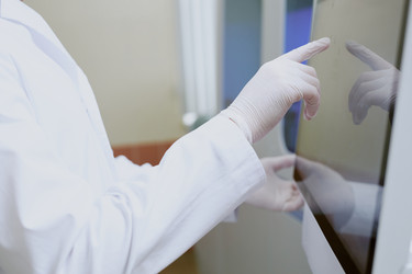 Similar image 21956582