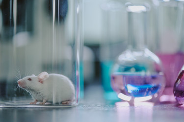 Similar image 21958252