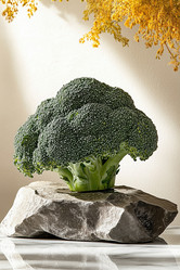 Similar image 21960415