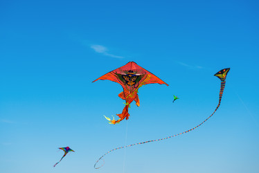 Similar image 21974427