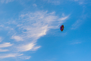 Similar image 21974429