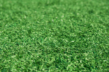 Similar image 21974431