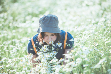 Similar image 21975831