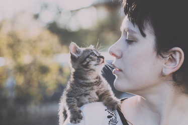 Similar image 21975471