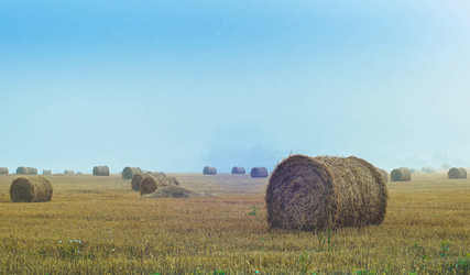 Similar image 21975806