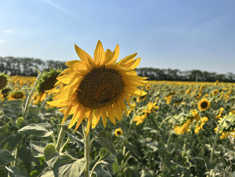 Similar image 21968652