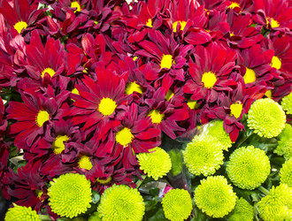 Similar image 21968654