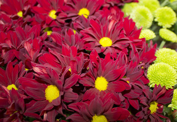 Similar image 21968655