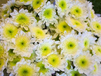 Similar image 21968656