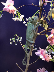 Similar image 21969282