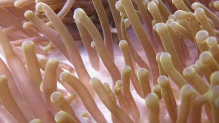 Similar image 21968657