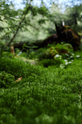 Similar image 21957098