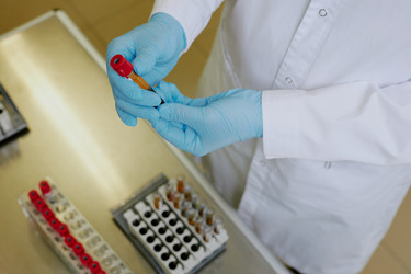 Similar image 21956609