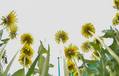 Similar image 21969285