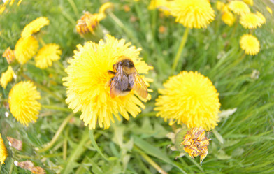 Similar image 21969286