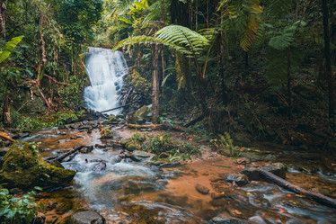 Similar image 21969944