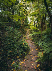 Similar image 21969946