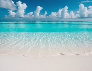 Similar image 21961623