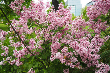 Similar image 21961655