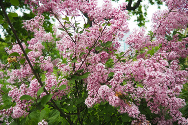 Similar image 21961656