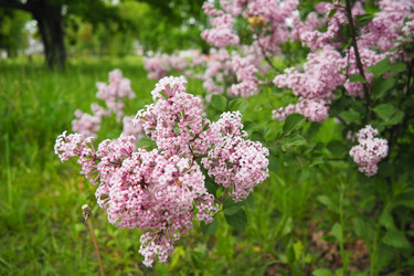 Similar image 21961657