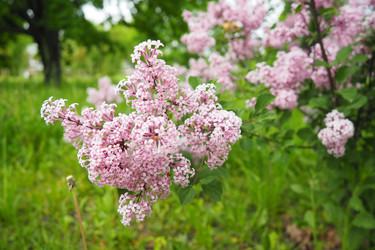 Similar image 21961658