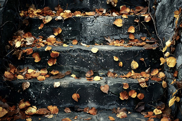 Similar image 21952306