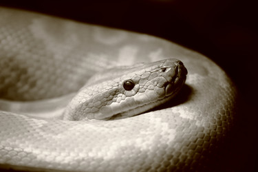 Similar image 21970991