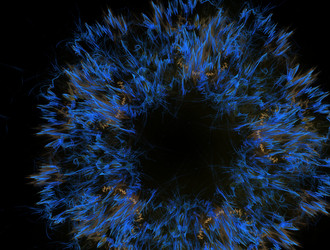 Similar image 21968169