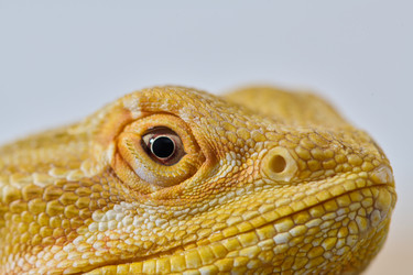 Similar image 21966754