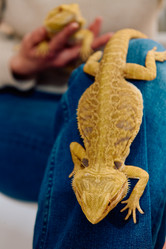 Similar image 21969138