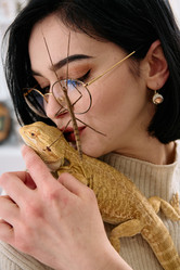 Similar image 21950537